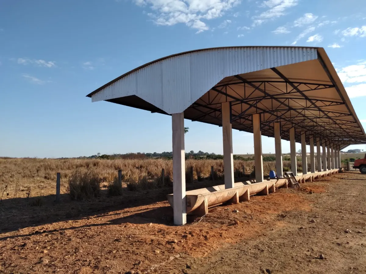 Barracão linear · pilares de concreto pré-moldado